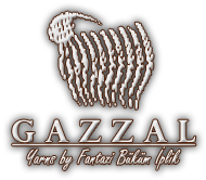 Пряжа "Gazzal"